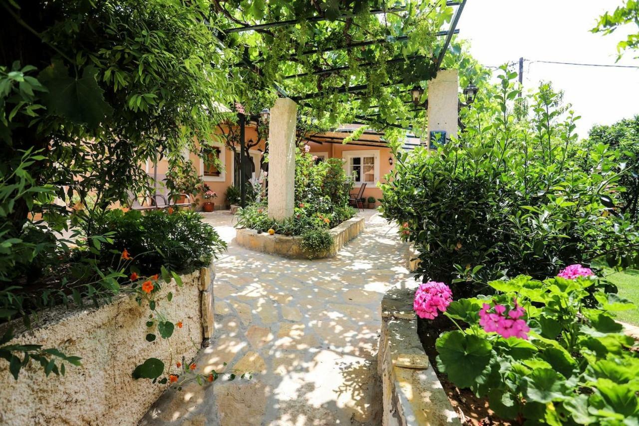 Garden House Kastellani Guest House Kastellanoi  Exterior photo