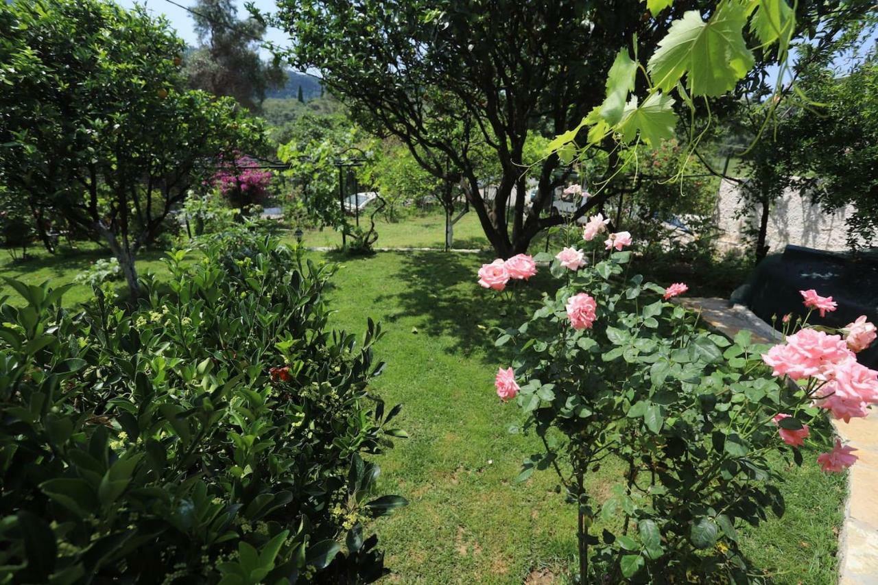 Garden House Kastellani Guest House Kastellanoi  Exterior photo