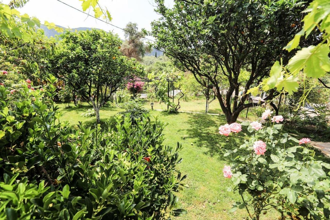 Garden House Kastellani Guest House Kastellanoi  Exterior photo