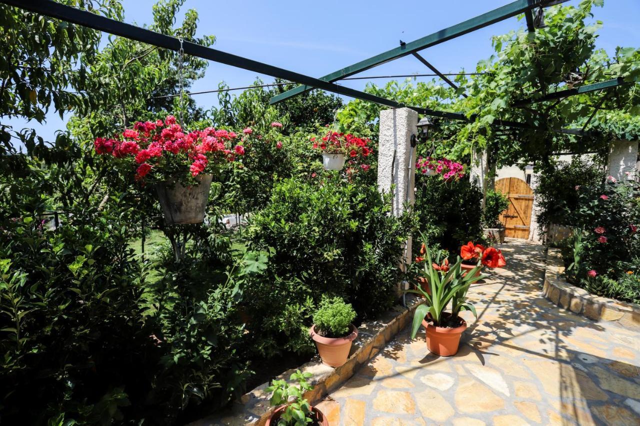 Garden House Kastellani Guest House Kastellanoi  Exterior photo